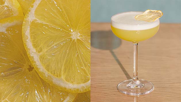 Gin Sour – Bar Klassiker